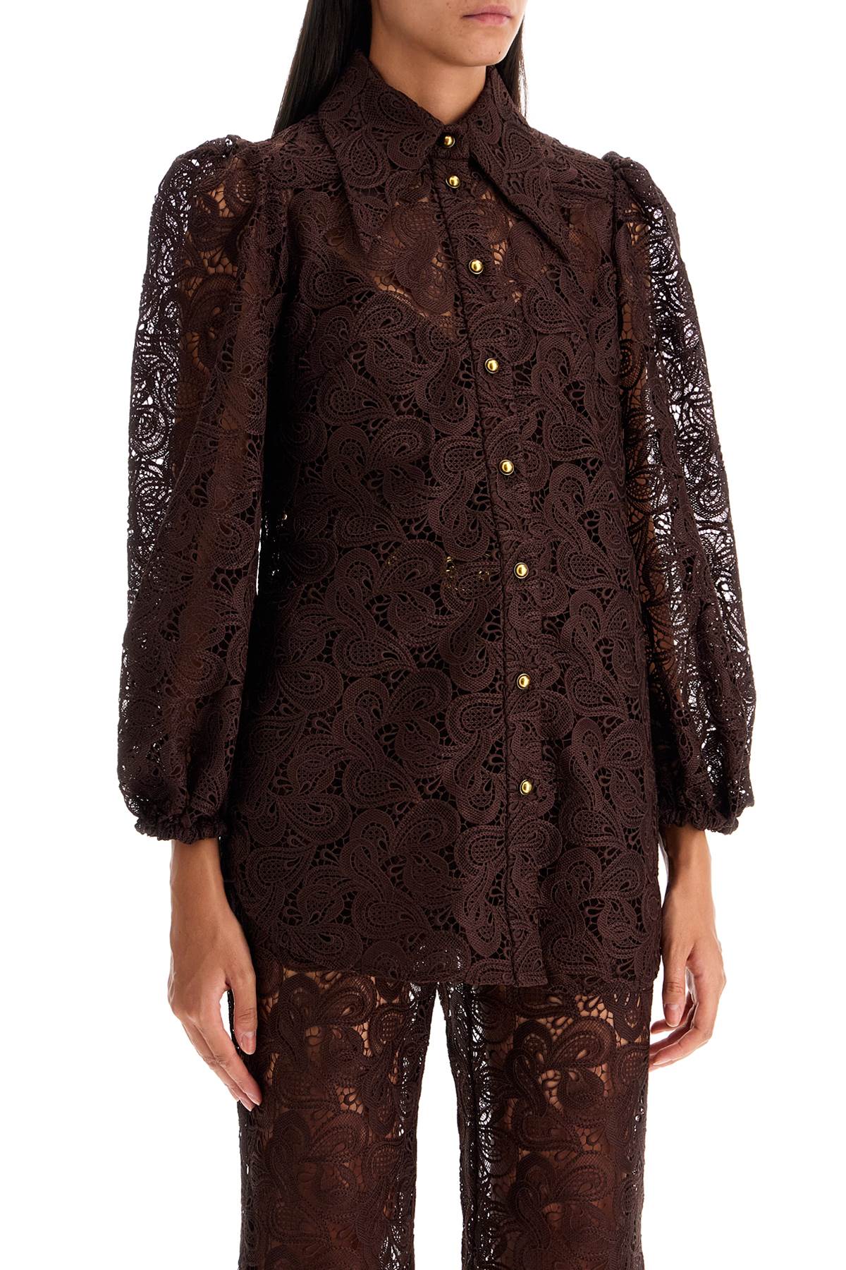 Of Lace Shirt On White Background  - Brown