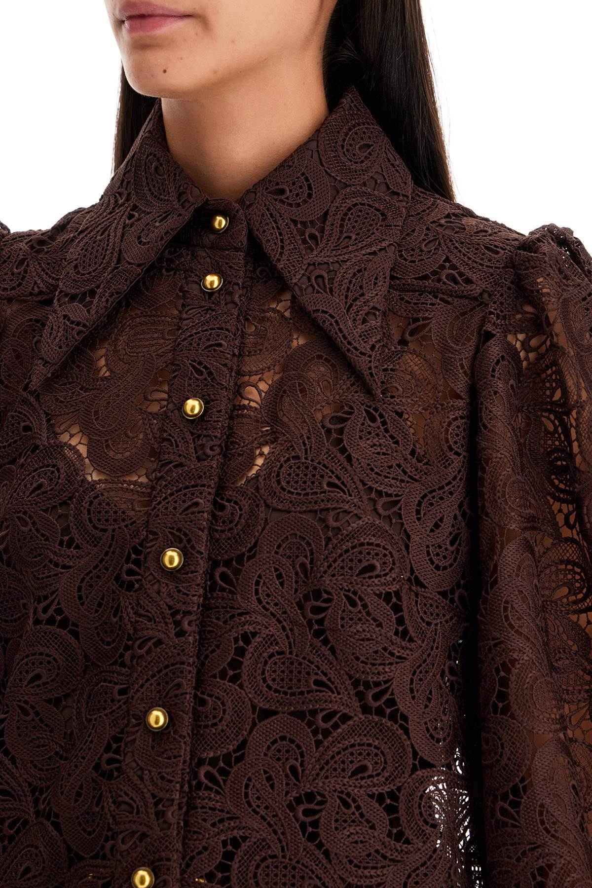 Of Lace Shirt On White Background  - Brown