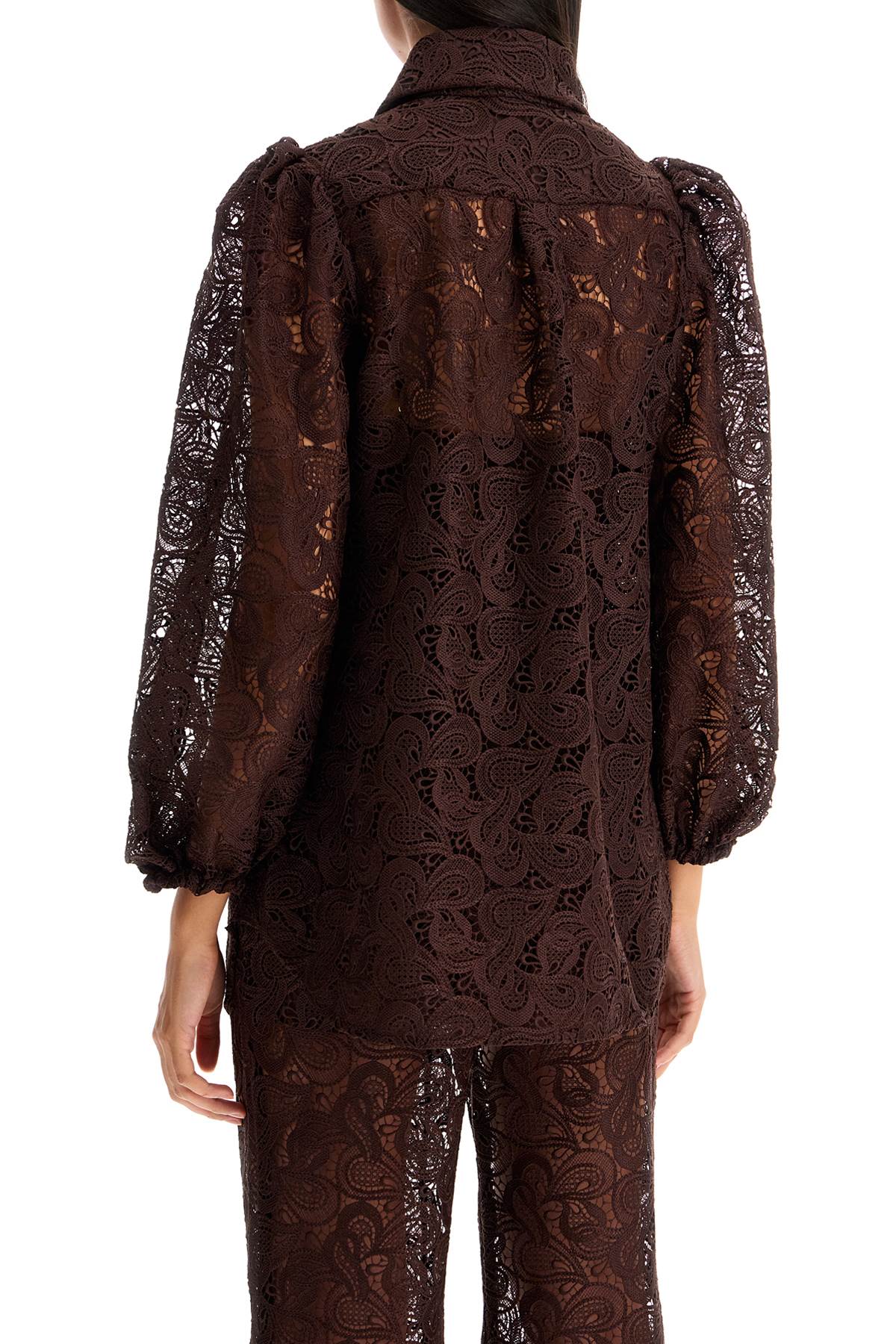 Of Lace Shirt On White Background  - Brown