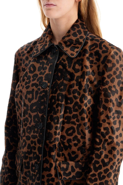 Leopard Print Car Coat In Horse  - Marrone