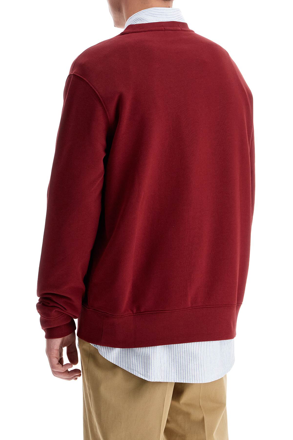 Polo Bear Crewneck Sweat  - Red