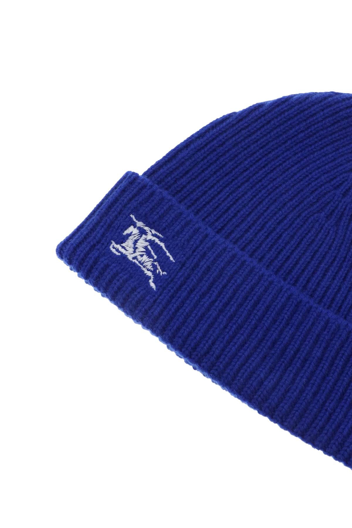 Ekd Beanie Hat  - Blue