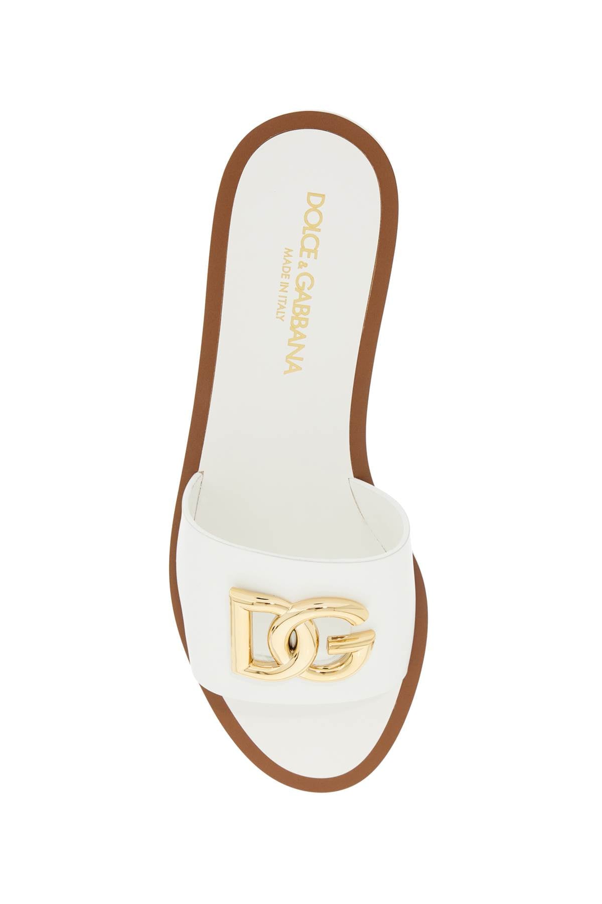 White Dg Logo Slides With 8  - White