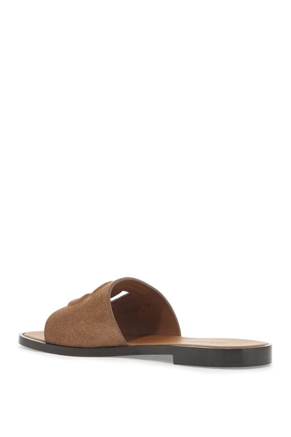 'dg Logo Suede Slides For Stylish  - Brown