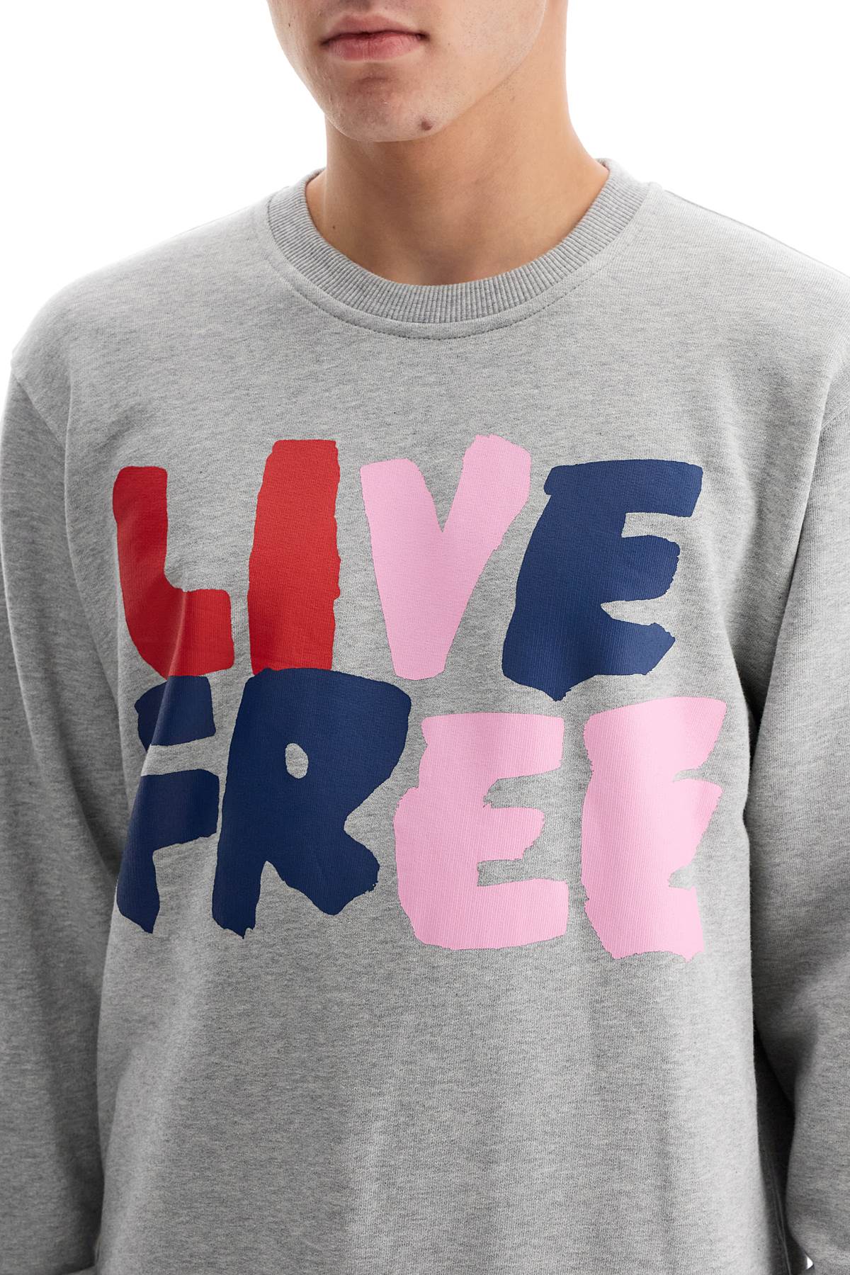 Live Free Hooded Sweat  - Grey