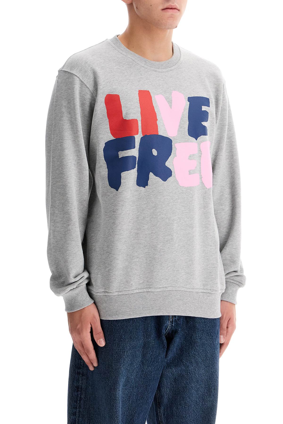 Live Free Hooded Sweat  - Grey