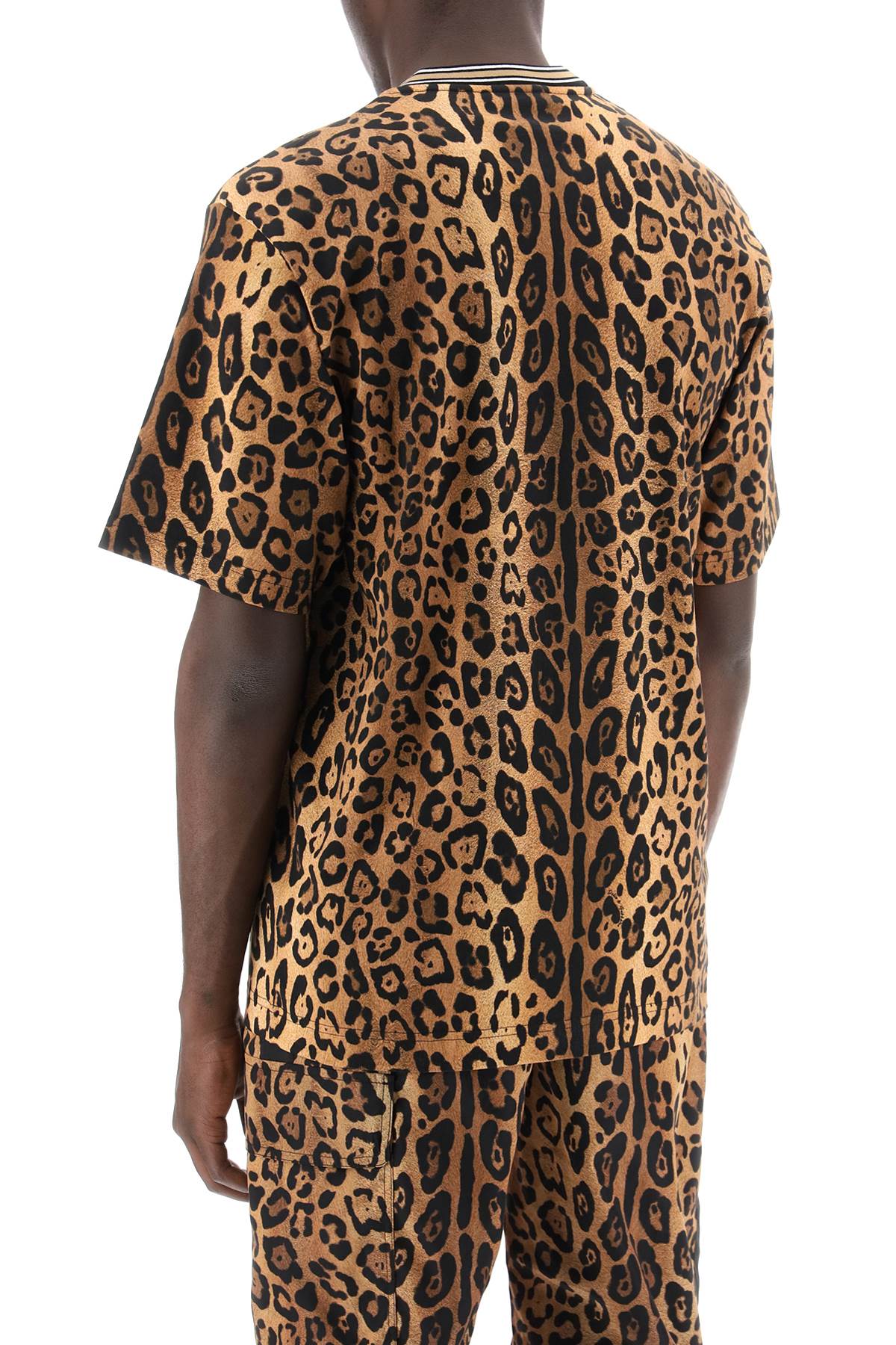 Leopard Print T-shirt With  - Beige