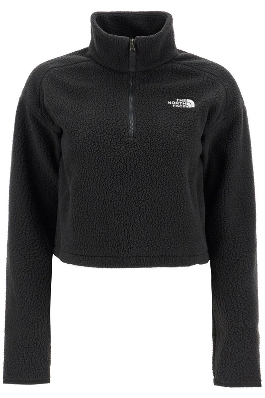 Sherpa Fleece Cropped Sweatshirt In  - Black