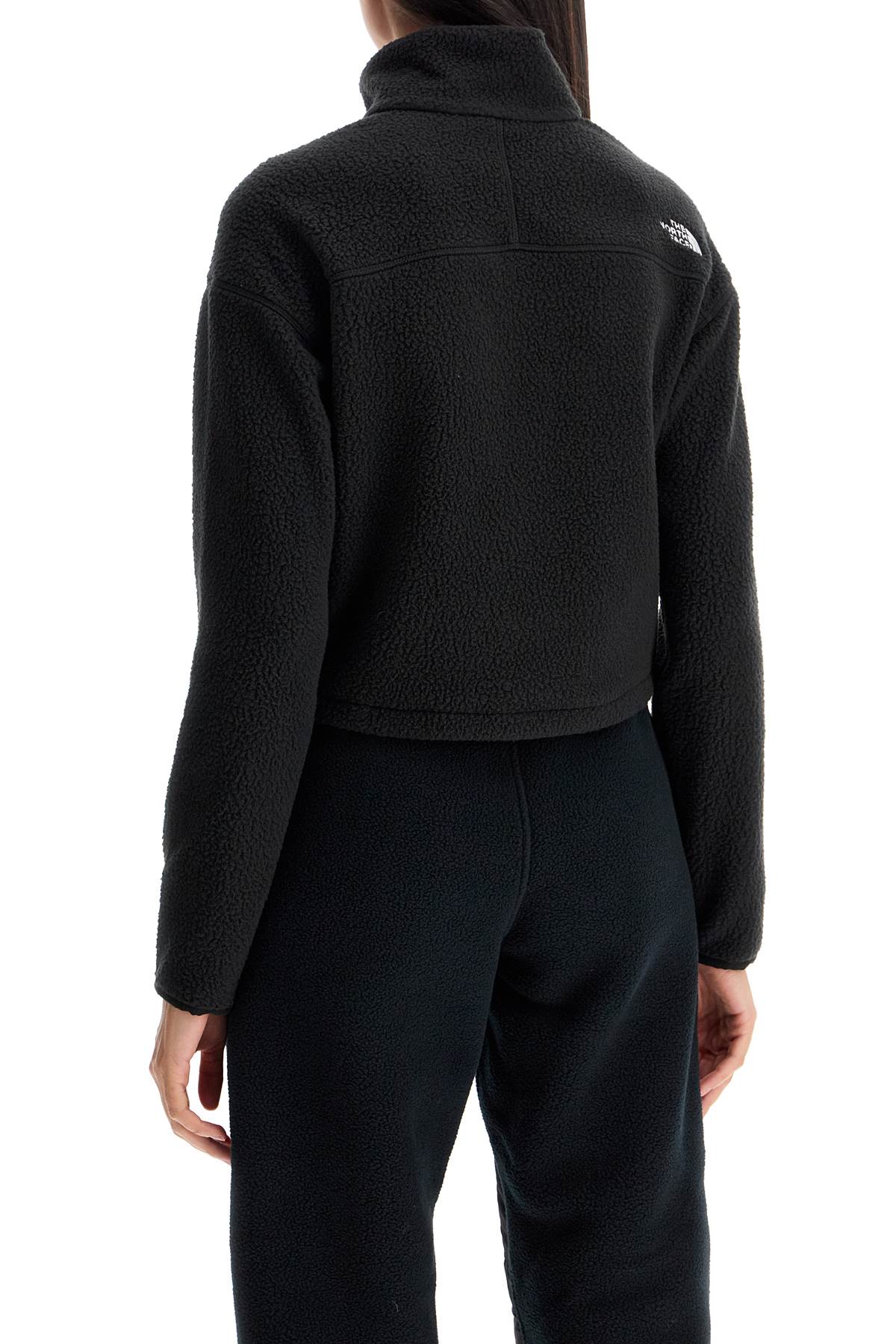 Sherpa Fleece Cropped Sweatshirt In  - Black