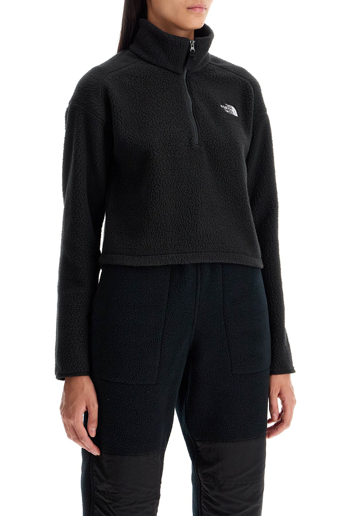 Sherpa Fleece Cropped Sweatshirt In  - Black