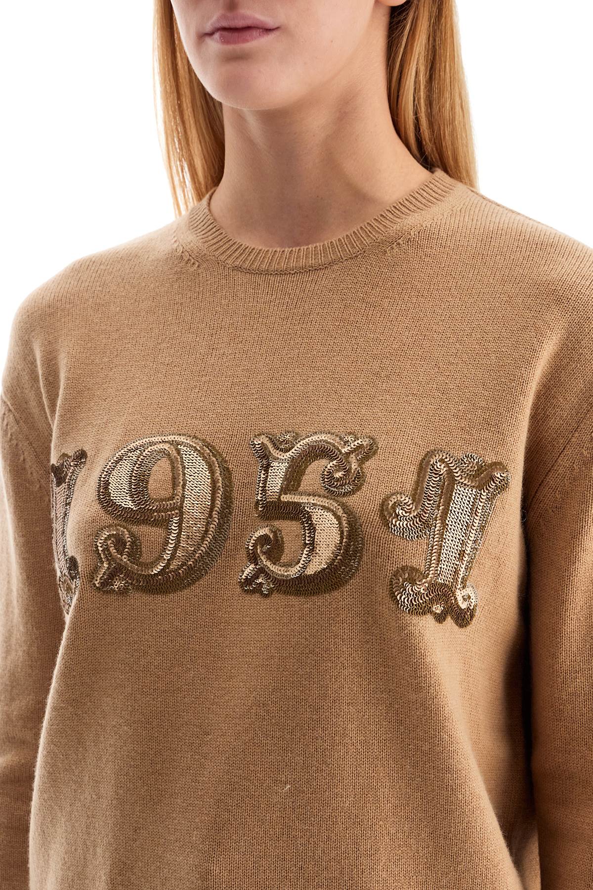 Form With Embroidery And Sequins Pullover  - Beige