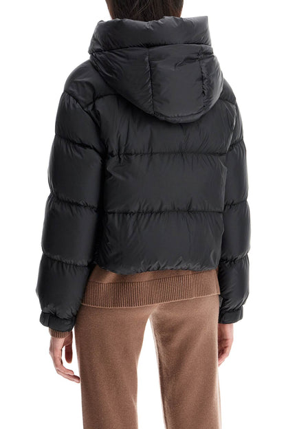 Short Hooded Down Jacket  - Black