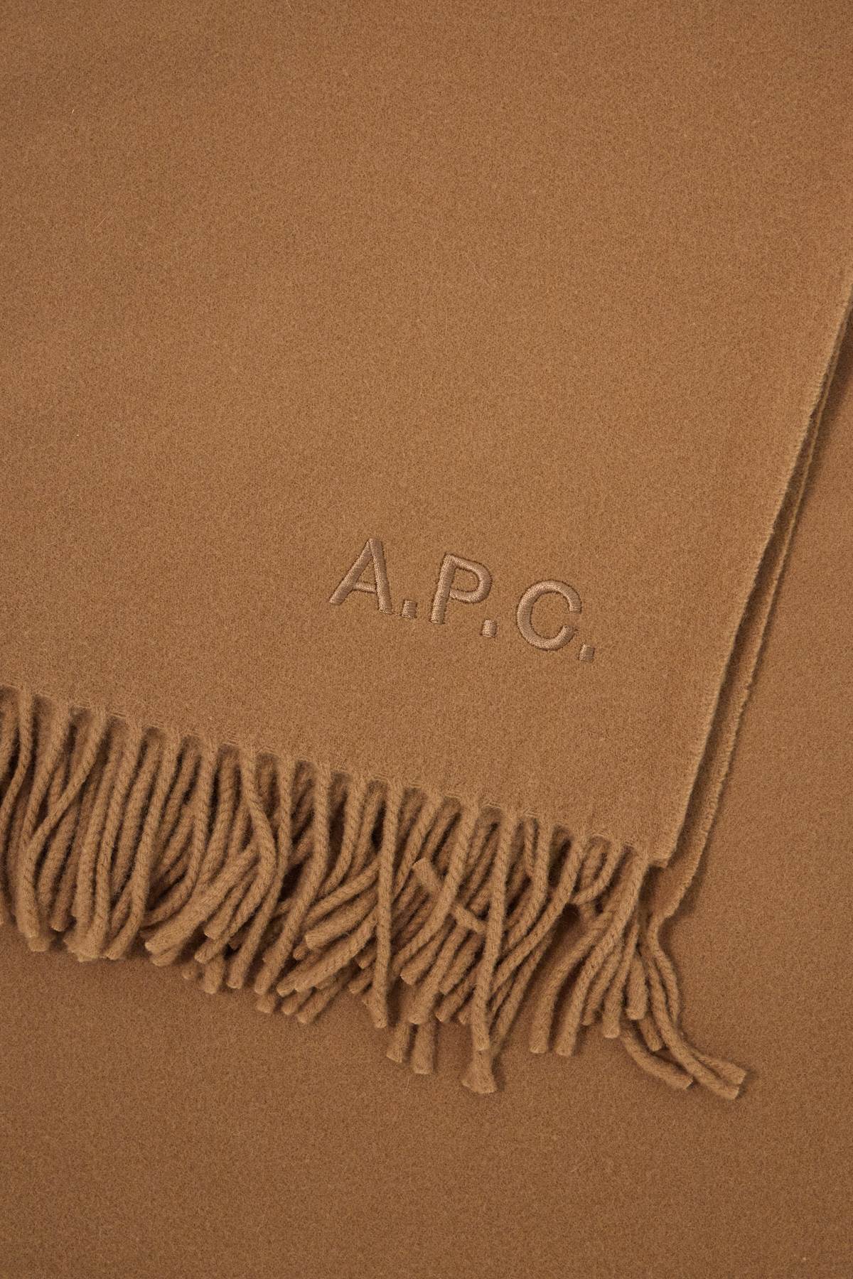 Alix Brodée Wool Scarf  - Brown